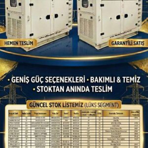 Motorlu Bant Taşıma Sistemi 100x15 cm (İkinci El)
